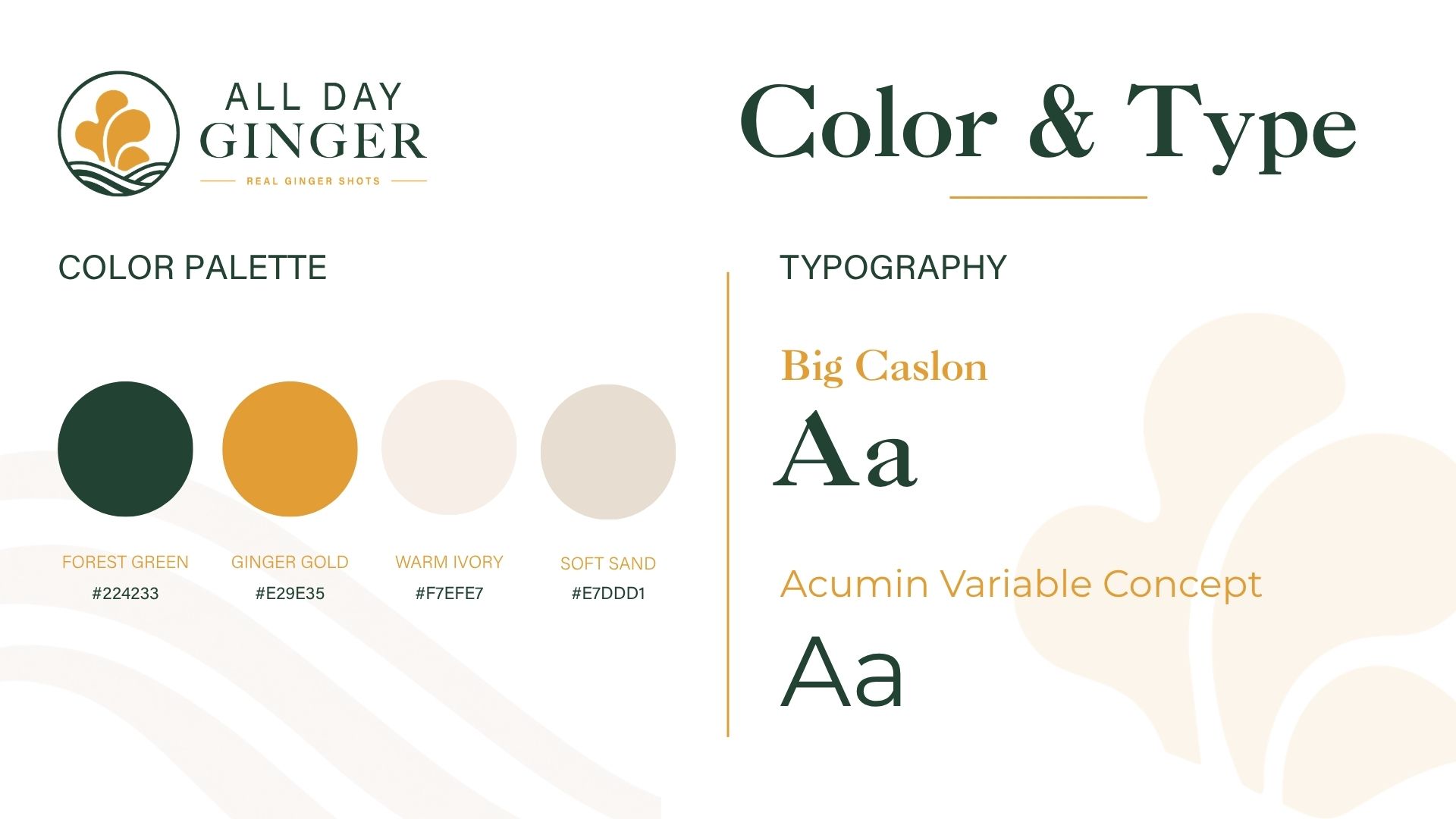 All Day Ginger brand identity — system detail 05